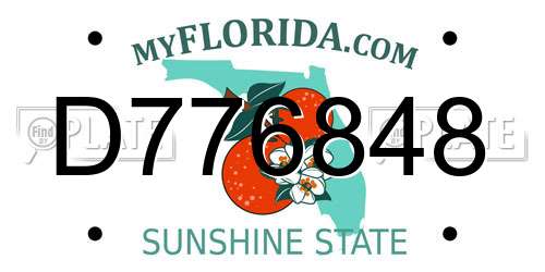 D776848 Florida License Plate