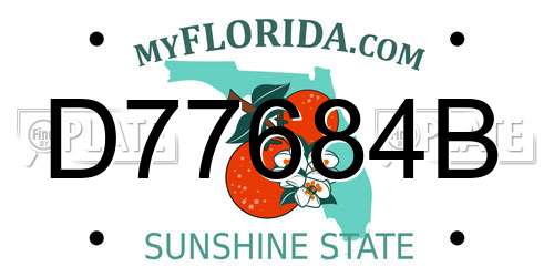D77684B Florida License Plate