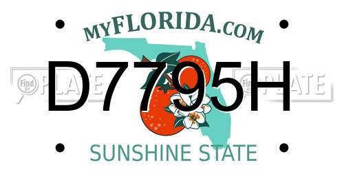 D7795H Florida License Plate
