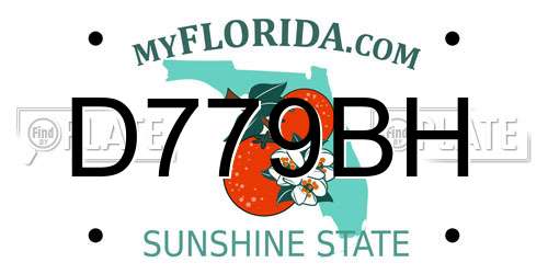D779BH Florida License Plate