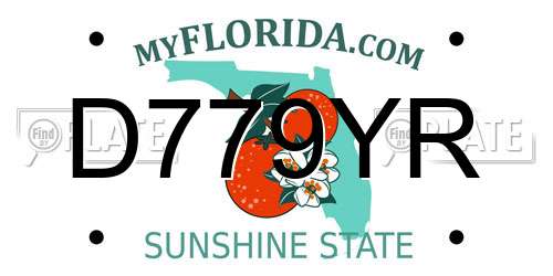D779YR Florida License Plate