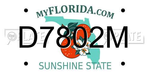 D7802M Florida License Plate
