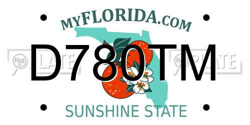 D780TM Florida License Plate