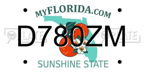 D780ZM Florida License Plate