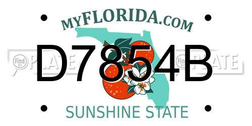 D7854B Florida License Plate