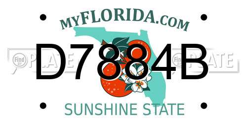 D7884B Florida License Plate