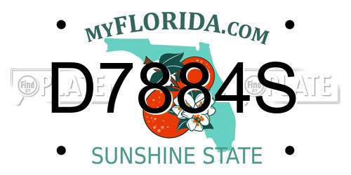 D7884S Florida License Plate