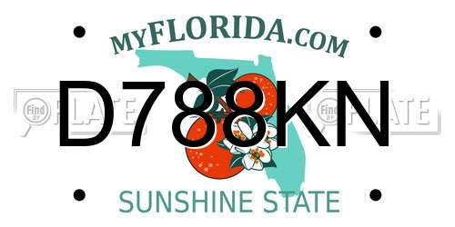 D788KN Florida License Plate