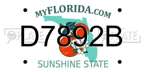 D7892B Florida License Plate