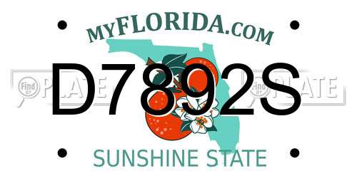 D7892S Florida License Plate