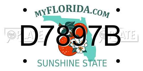 D7897B Florida License Plate