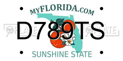 D789TS Florida License Plate
