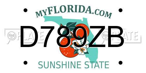 D789ZB Florida License Plate