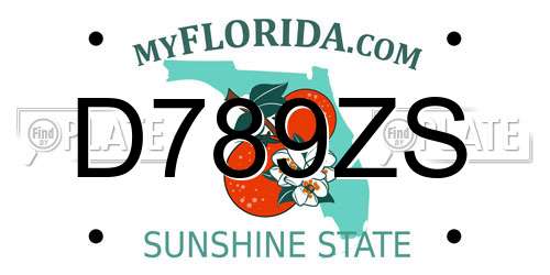 D789ZS Florida License Plate