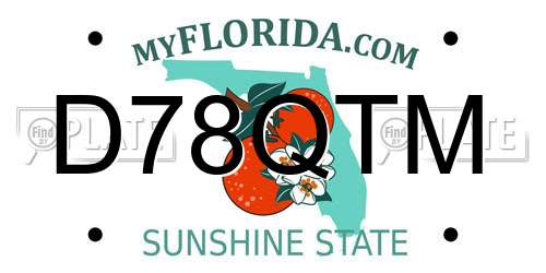 D78QTM Florida License Plate