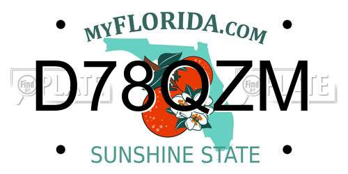 D78QZM Florida License Plate