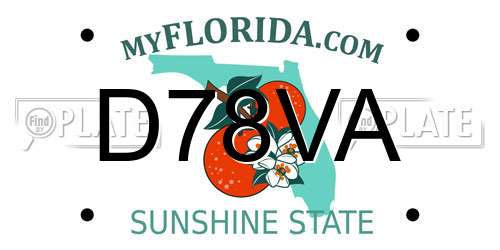 D78VA Florida License Plate