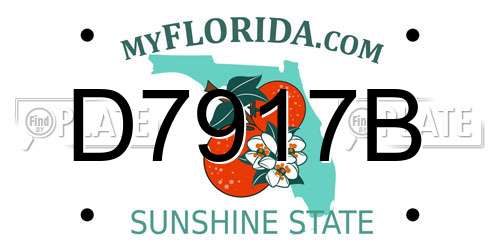 D7917B Florida License Plate