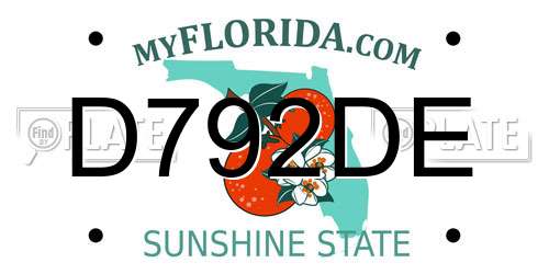 D792DE Florida License Plate