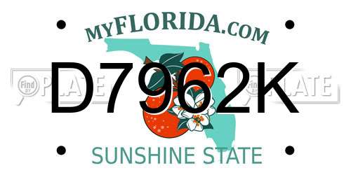 D7962K Florida License Plate