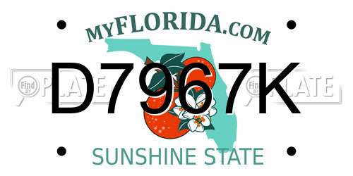 D7967K Florida License Plate