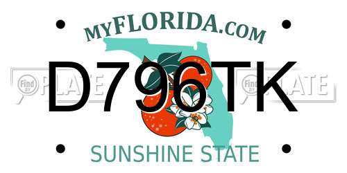 D796TK Florida License Plate