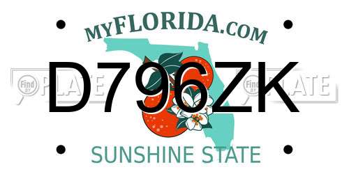 D796ZK Florida License Plate
