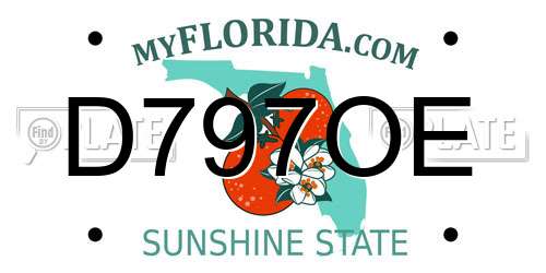 D797OE Florida License Plate