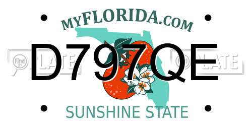 D797QE Florida License Plate