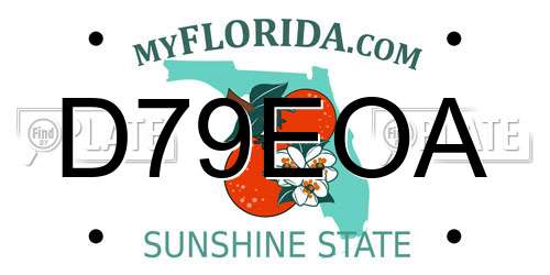 D79EOA Florida License Plate