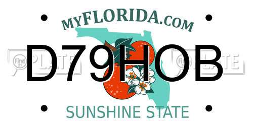 D79HOB Florida License Plate