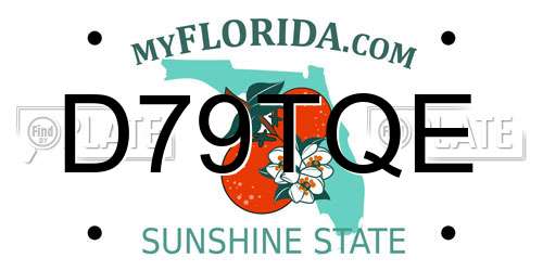 D79TQE Florida License Plate