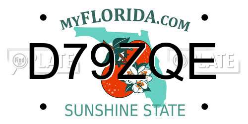 D79ZQE Florida License Plate