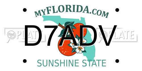 D7ADV Florida License Plate