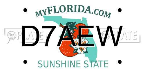 D7AEW Florida License Plate