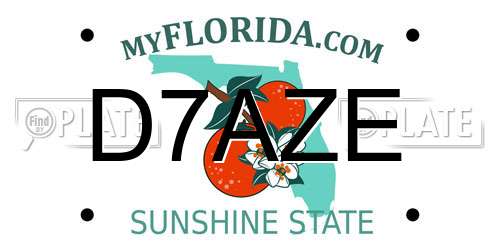 D7AZE Florida License Plate