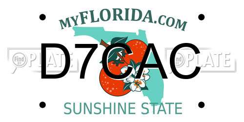 D7CAC Florida License Plate
