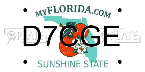 D7CGE Florida License Plate