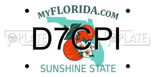 D7CPI Florida License Plate