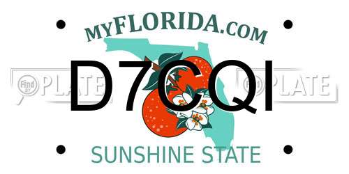D7CQI Florida License Plate