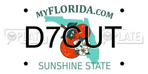 D7CUT Florida License Plate