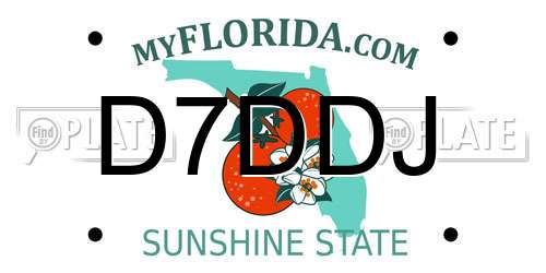 D7DDJ Florida License Plate