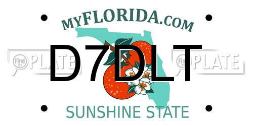 D7DLT Florida License Plate