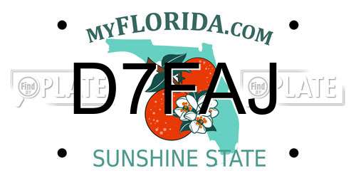 D7FAJ Florida License Plate