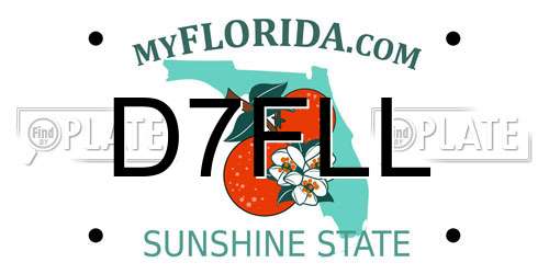 D7FLL Florida License Plate