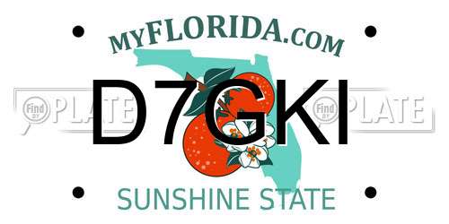 D7GKI Florida License Plate
