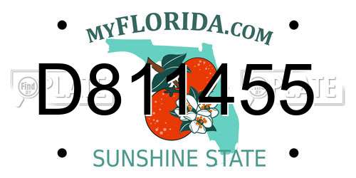 D811455 Florida License Plate