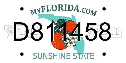 D811458 Florida License Plate