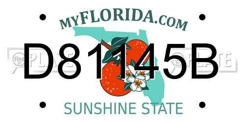 D81145B Florida License Plate