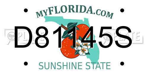 D81145S Florida License Plate